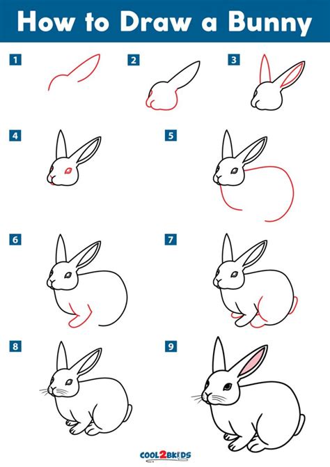 How to Draw a Bunny How to Draw Easy