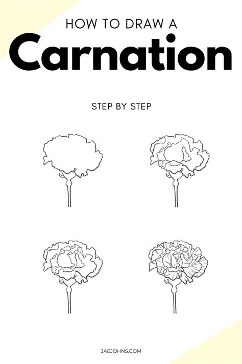 How to Draw a Carnation in a Few Simple Steps Jae Johns
