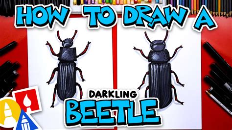 How to Draw a Click Beetle