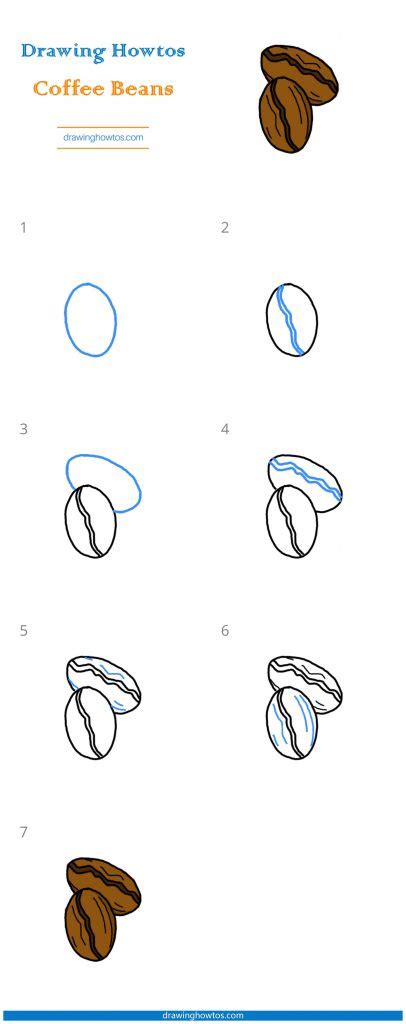 How to Draw a Coffee Bean How to Draw Easy