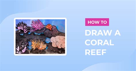 How to Draw a Coral Reef Easy to Follow Design Bundles