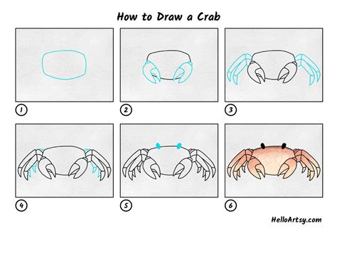 How to Draw a Crab Step by Step Easy for Beginners/Kids Simple Crabs