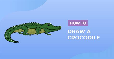 How to Draw a Crocodile Design School