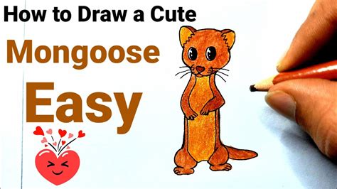 How to Draw a Cute Mongoose Easy Step By Step Cute Animals Drawing