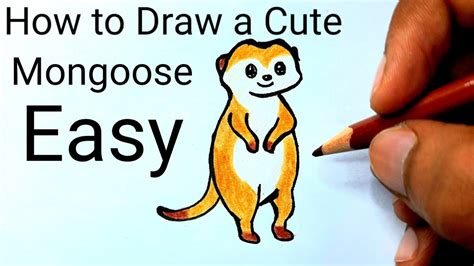 How to Draw a Cute Mongoose Easy Step by step YouTube