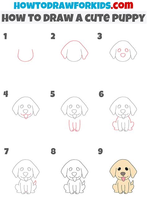 How to Draw a Cute Puppy Easy Drawing Tutorial For Kids