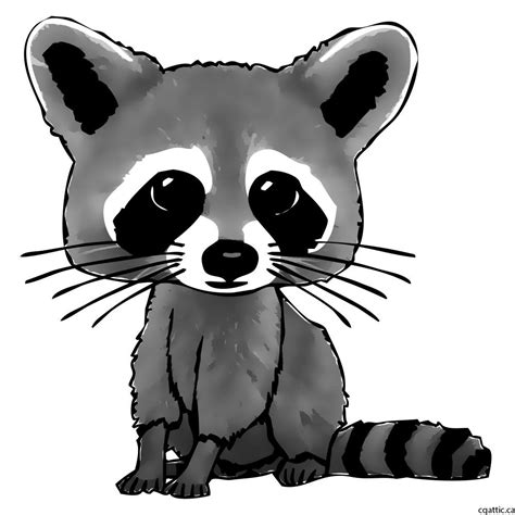 How to Draw a Cute Raccoon