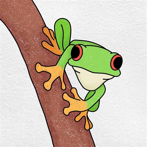 How to Draw a Cute Tree Frog