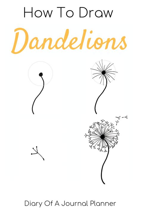 How to Draw a Dandelion Easy Drawing Tutorial For Kids