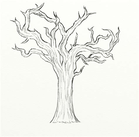 How to Draw a Dead Tree