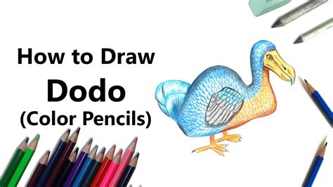 How to Draw a Dodo with Color Pencils [Time Lapse] YouTube