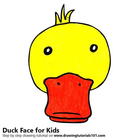 How to Draw a Duck Face - wedrawanimals.com