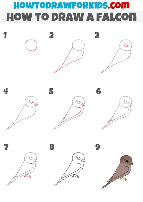 How to Draw a Falcon Easy Drawing Tutorial For Kids