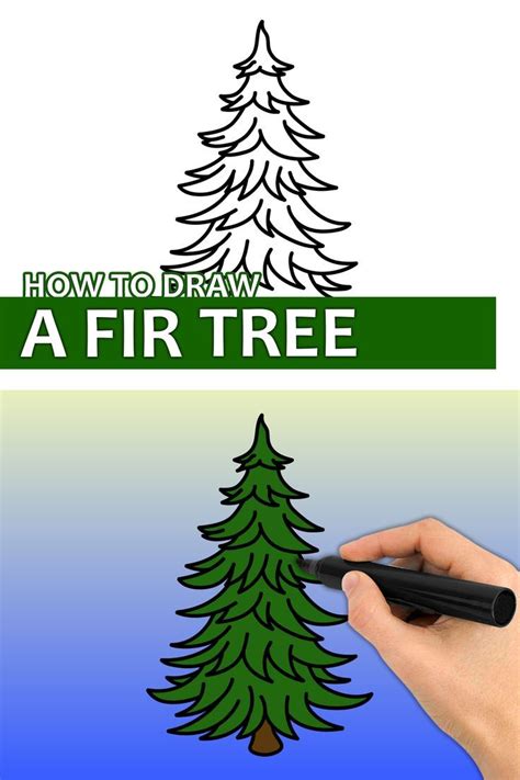 How to Draw a Fir Tree