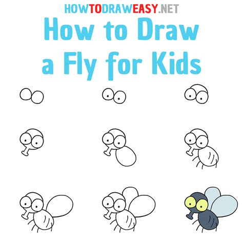 How to Draw a Fly for Kids How to Draw Easy