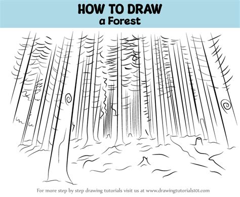 How to Draw a Forest (Nature) Step by Step