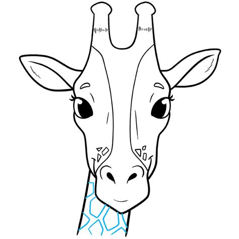 How to Draw a Giraffe Head and Face Really Easy Drawing Tutorial