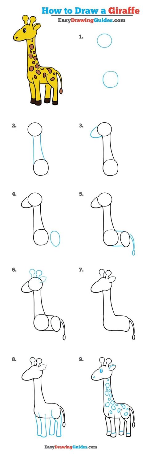 How to Draw a Giraffe in a Few Easy Steps Easy Drawing Guides