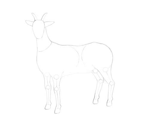How to Draw a Goat Step by Step Graficznie
