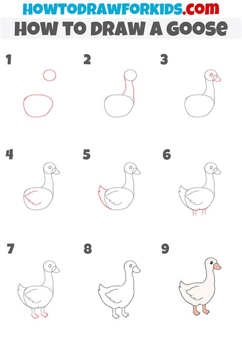 How to Draw a Goose Step by Step Easy Drawing Guides Drawing Howtos