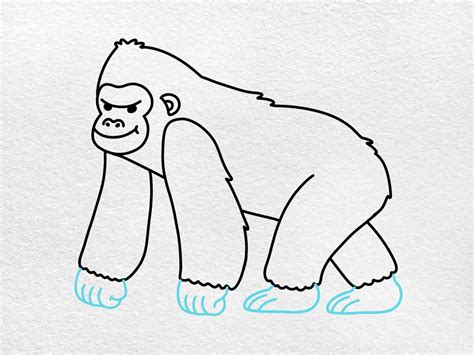 How to Draw a Gorilla HelloArtsy