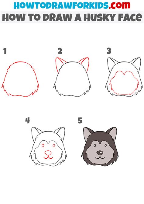 How to Draw a Husky Easy Drawing Tutorial For Kids