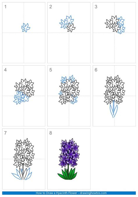 How to Draw a Hyacinth Flower