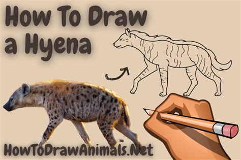 How to Draw a Hyena Really Easy Drawing Tutorial in 2021 Easy