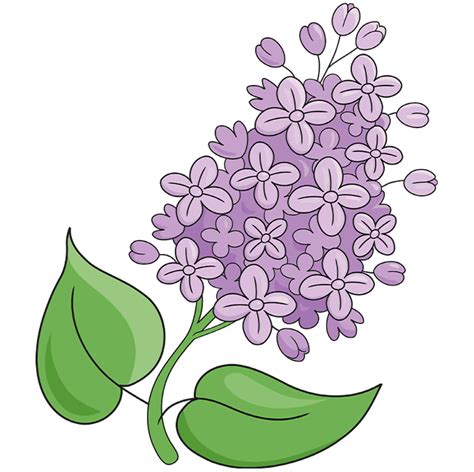 How to Draw a Lilac Flower Really Easy Drawing Tutorial