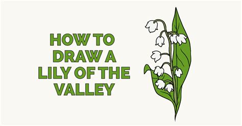 How to Draw a Lily of the Valley Really Easy Drawing Tutorial