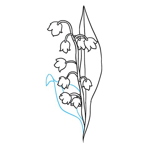 How to Draw a Lily of the Valley Really Easy Drawing Tutorial Lily