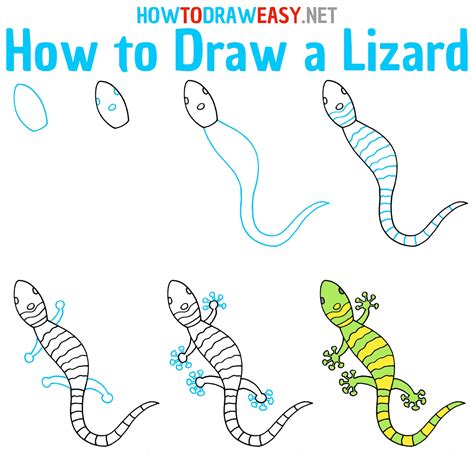 How to Draw a Lizard (Lizards) Step by Step