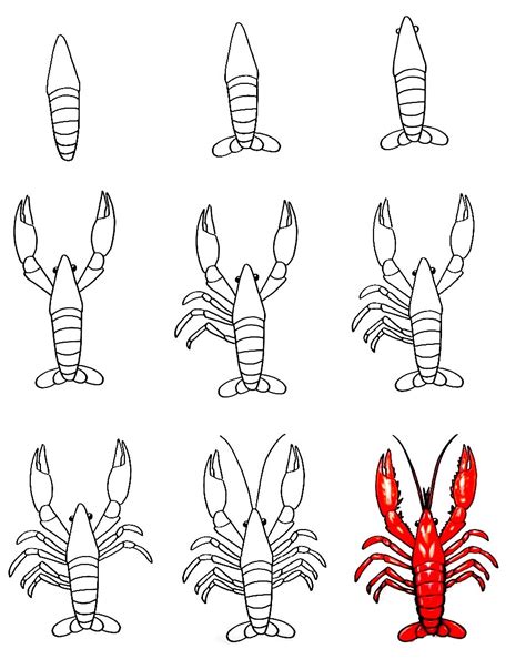 How to Draw a Lobster Step By Step Tutorial Drawings, Lobster drawing