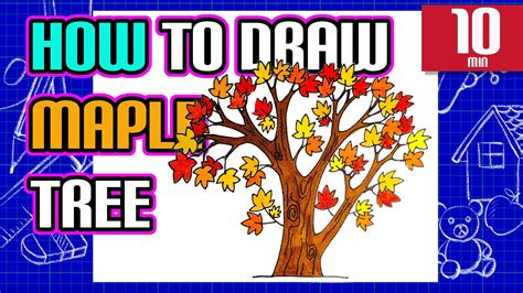 How to Draw a Maple Tree