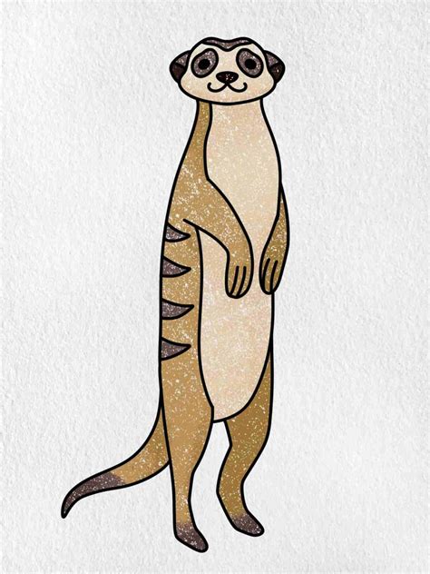 How to Draw a Meerkat HelloArtsy