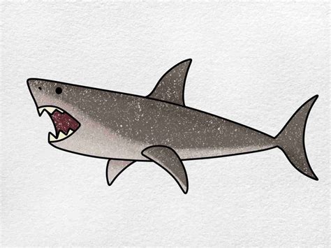 How to Draw a Megalodon HelloArtsy