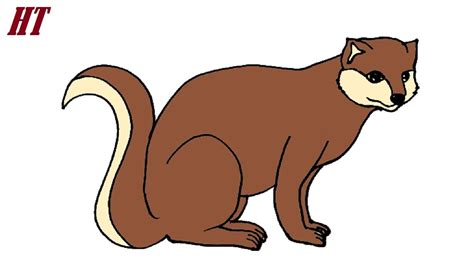 How to Draw a Mongoose easy for Beginners YouTube