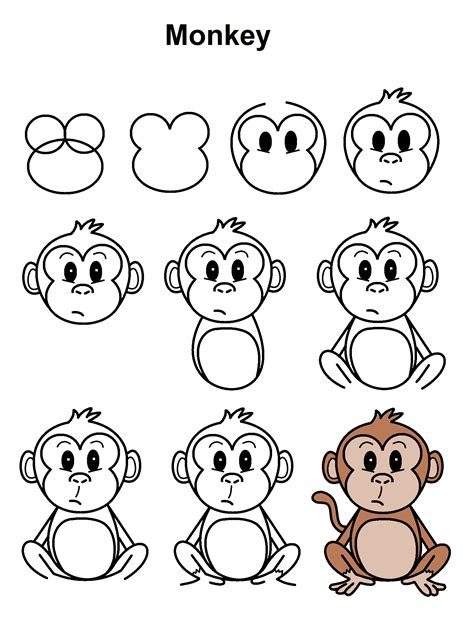 How to Draw a Monkey - Easy Drawing Tutorial For …