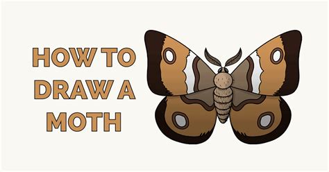 How to Draw a Moth Really Easy Drawing Tutorial