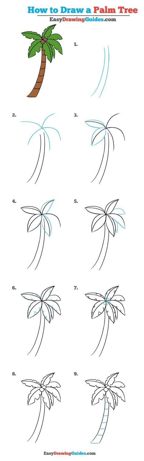 How to Draw a Palm Tree EASY Step by Step Tutorial