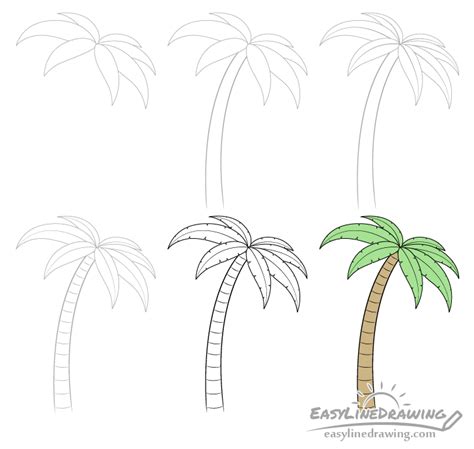 How to Draw a Palm Tree Step by Step EasyLineDrawing