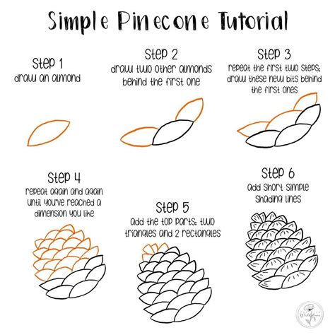 How to Draw a Pine Cone Step by Step Murphy Inte1996