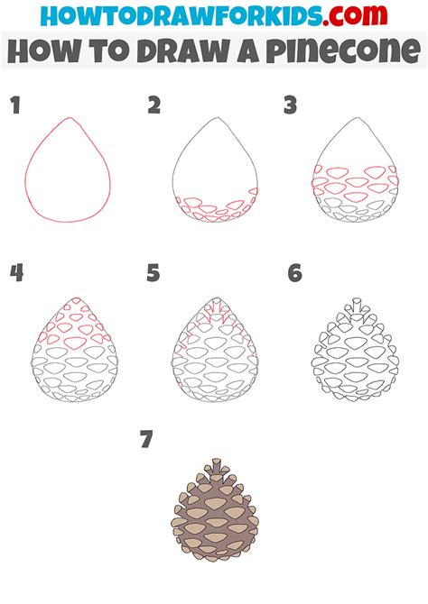 How to Draw a Pinecone Really Easy Drawing Tutorial Drawing