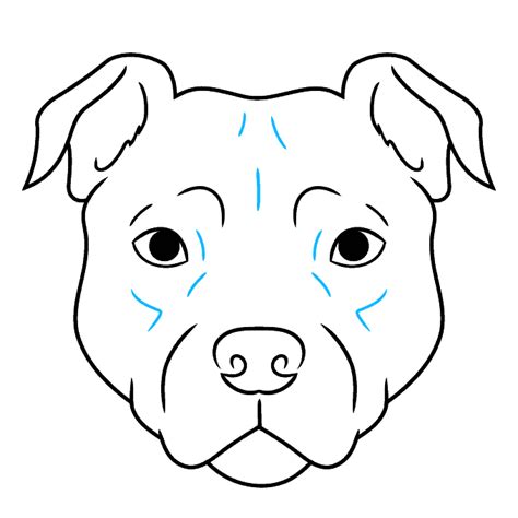 How to Draw a Pitbull Face Really Easy Drawing Tutorial