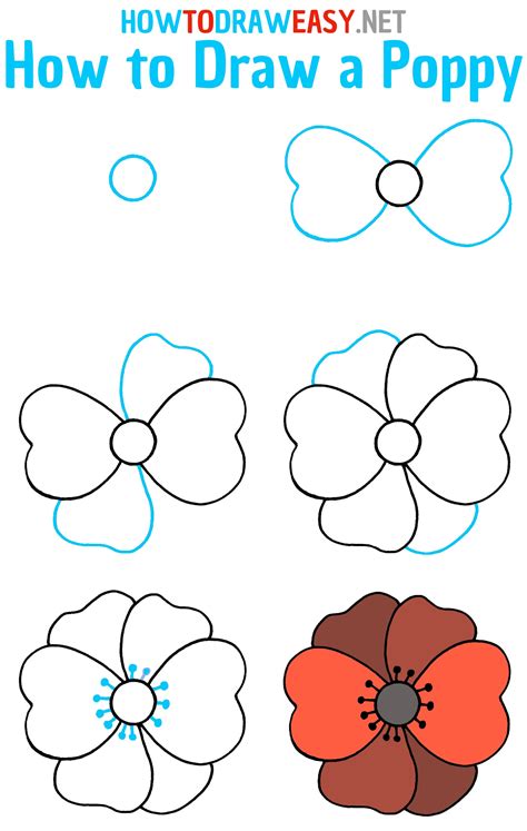 How to Draw a Poppy in Just 5 Simple Steps as a Pro Howto