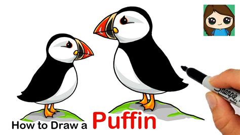 How to Draw a Puffin Bird YouTube