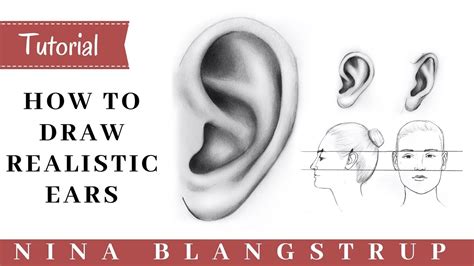 How to Draw a Realistic Ear Front and Side View Step by Step