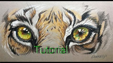 How to Draw a Realistic Tiger Eye Coloured Pencil Drawing Tutorial