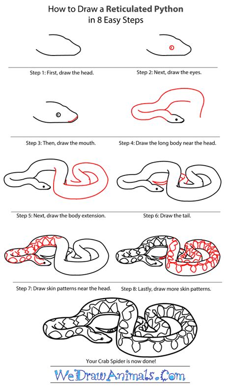 How to Draw a Reticulated Python