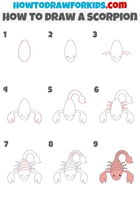 How to Draw a Scorpion for Kids How to Draw Easy